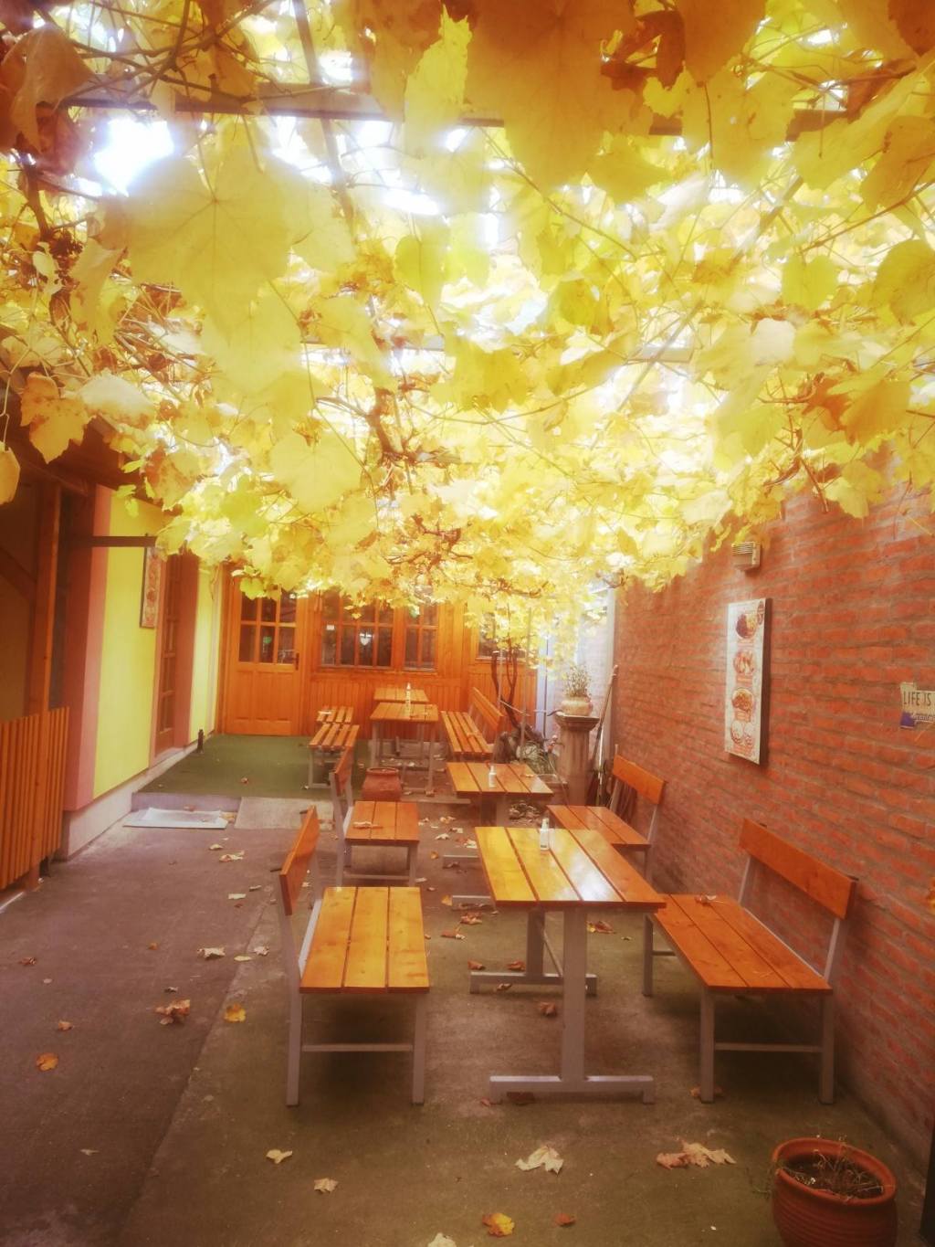 Pivnica „Usporavanje“ на&nbsp;Google-у