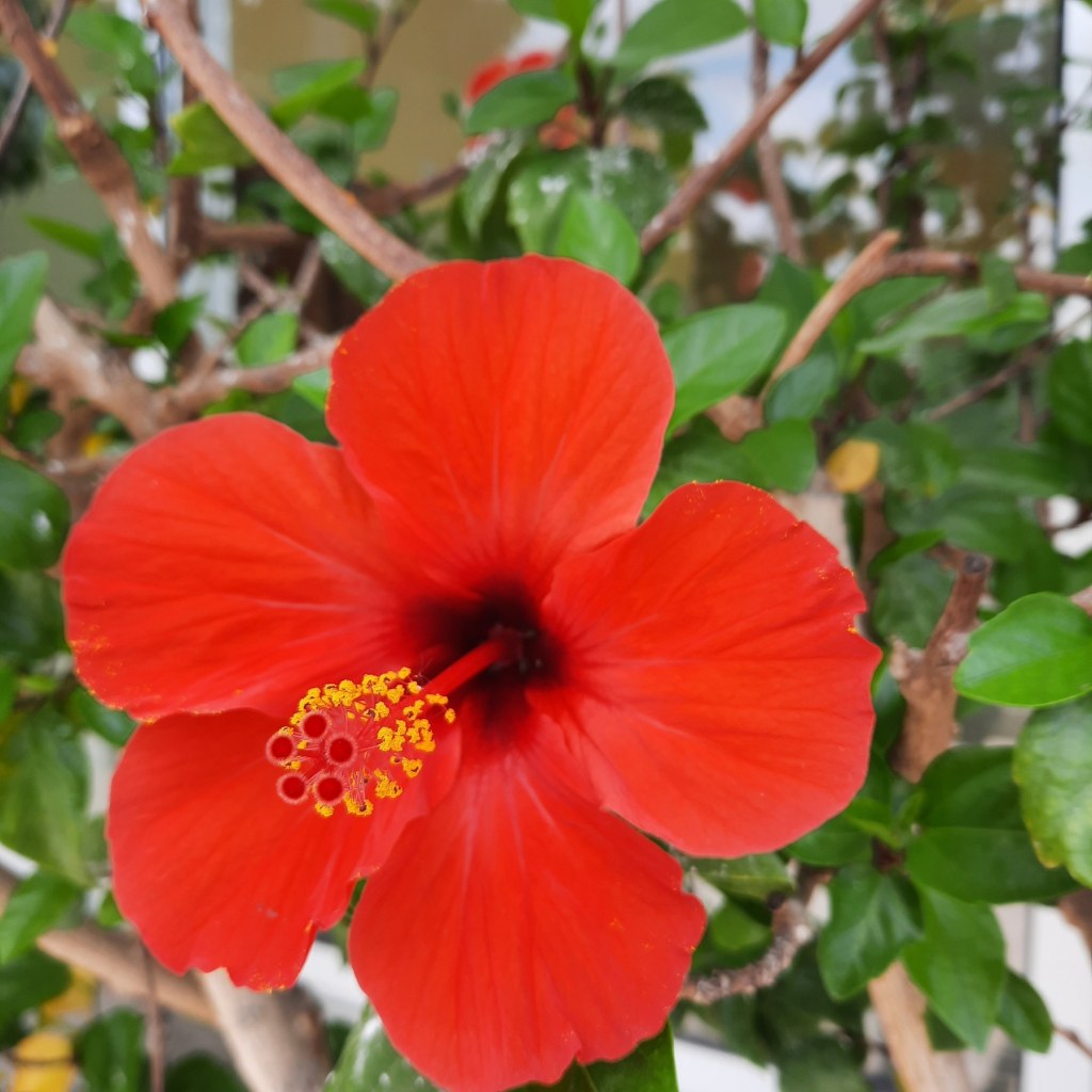 Гледајте „Perut i kako izaći na kraj sa njim?“ на&nbsp;YouTube-у